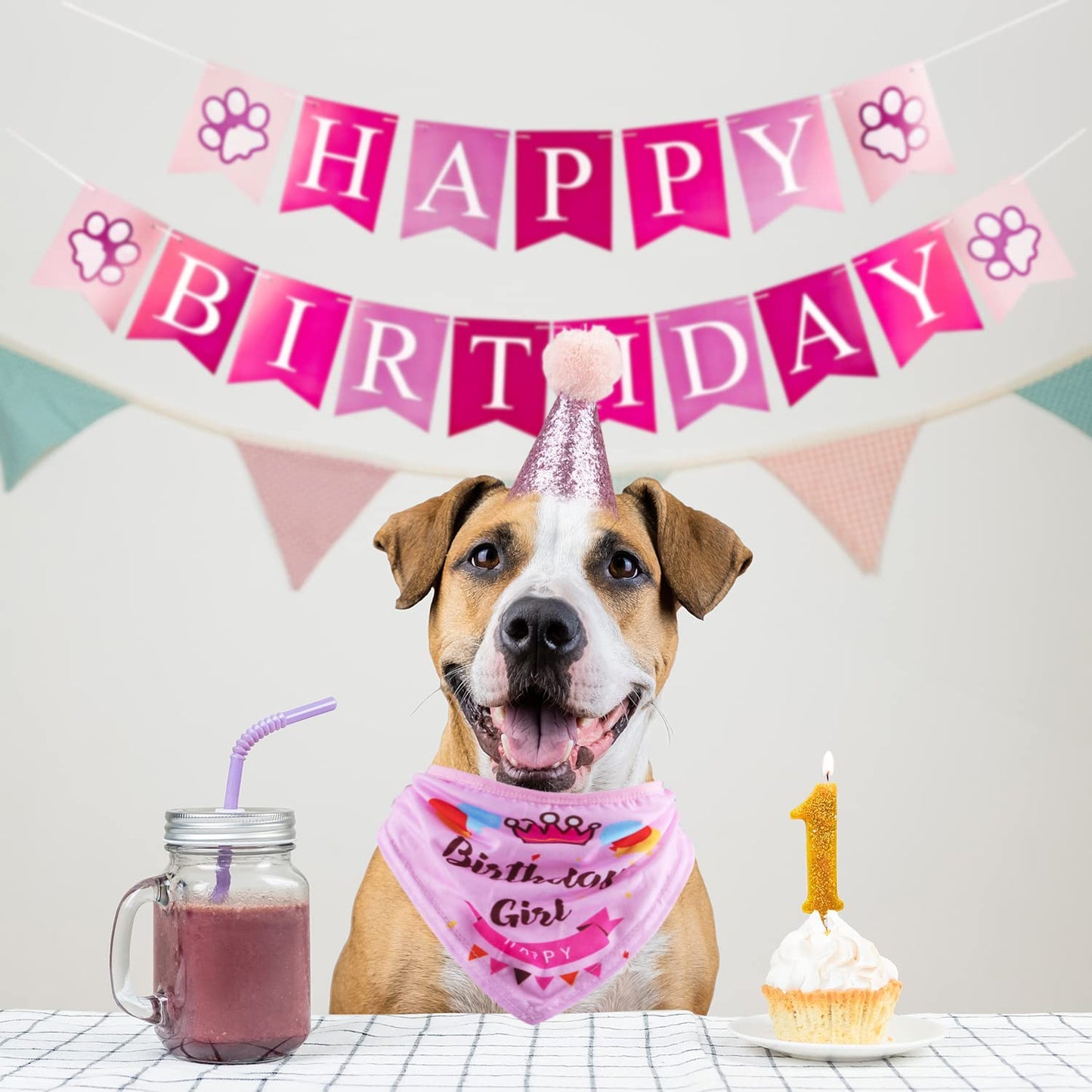 Dog Birthday Party Supplies Bandana Hat Banner Set Boy Girl Cute Bow Tie Scarf Dog Birthday Decorations (Pink,Dog Girl)